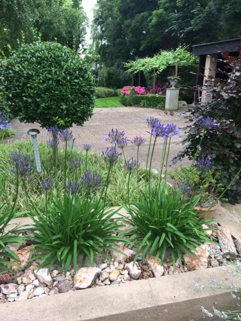 Agapanthus Bed And Breakfast Hoogkarspel 외부 사진